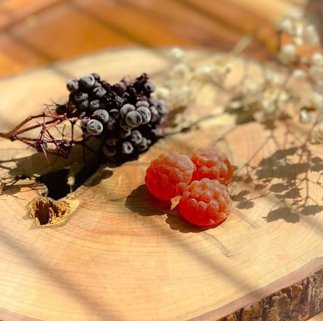 Carolina Elderberry Company Elderberry Gummies product photo, chewy elderberry gummies in a pouch on a bright kitchen surface, family-friendly and portable daily routine option.