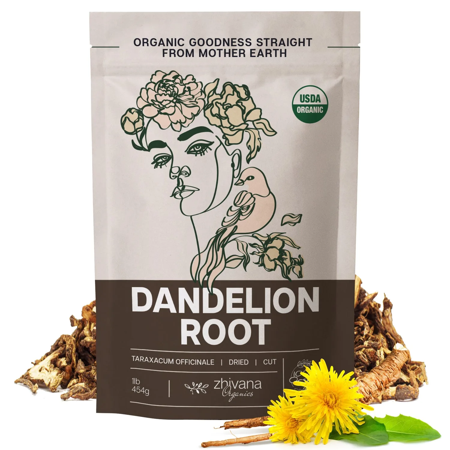 Dried dandelion root