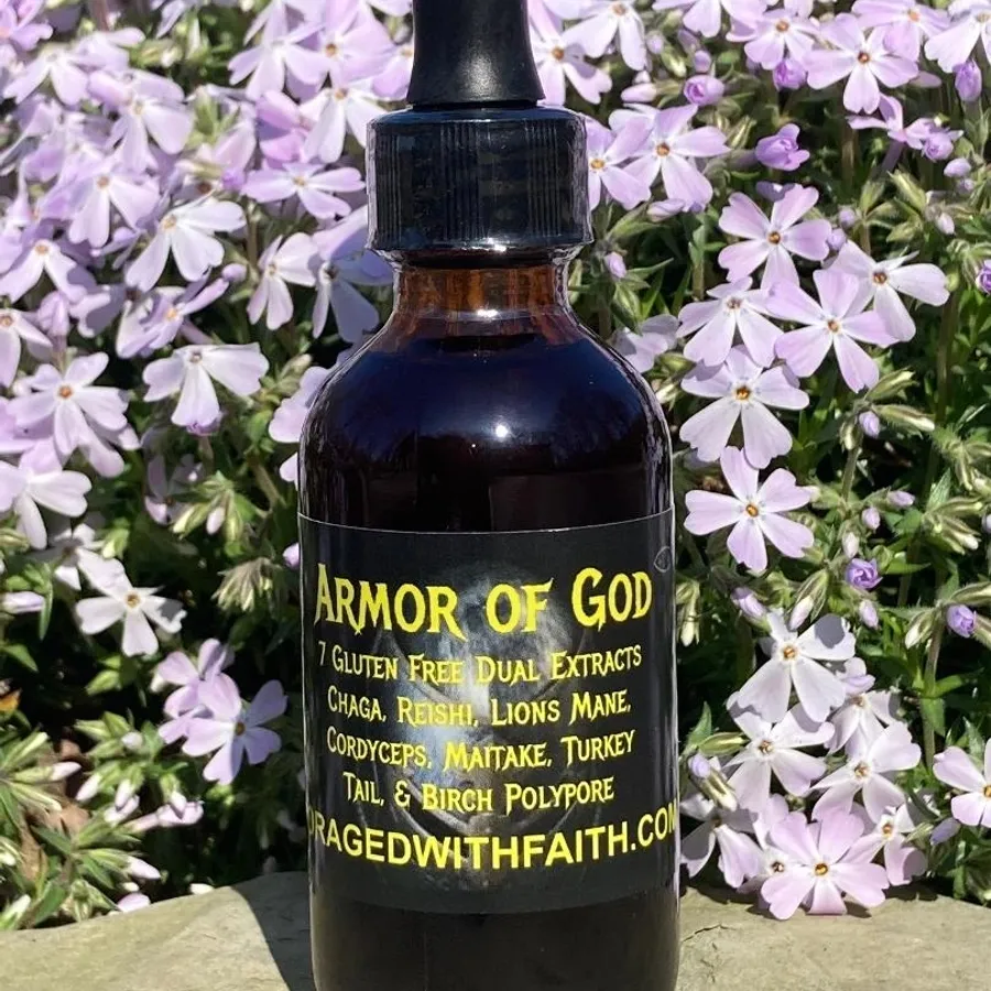 Armor of God