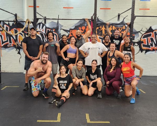 Online Coaching Accountability
