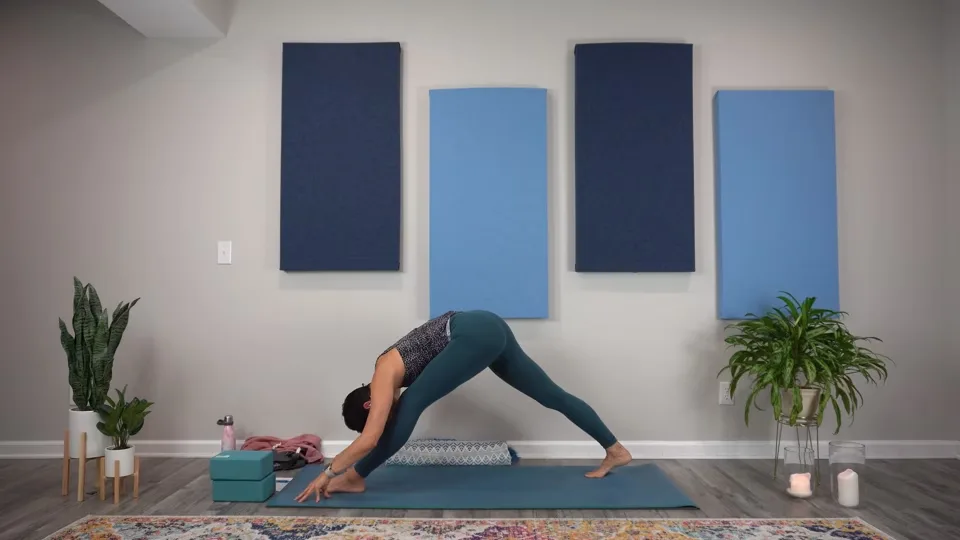 Yoga Anatomy Training